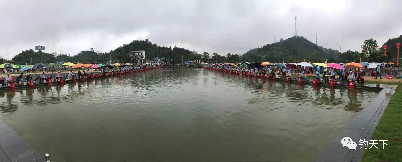 【CAA新闻】金叶众